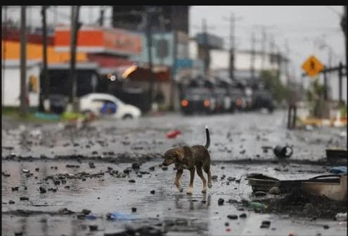 MINSA Y SENAN COORDINAN PUENTE AÉREO Y ENVÍO DE INSUMOS A BOCAS DEL&nbsp;TORO