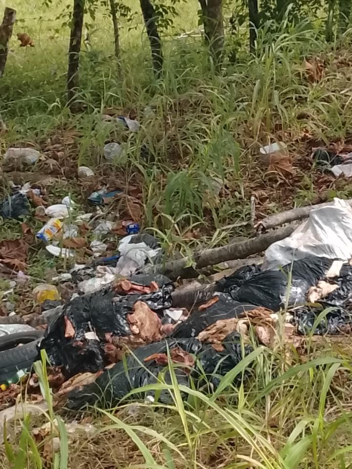 Denuncian presunto vertedero clandestino en Casa Hacienda, Las Lomas: aseguran que arrojan basura y animales muertos