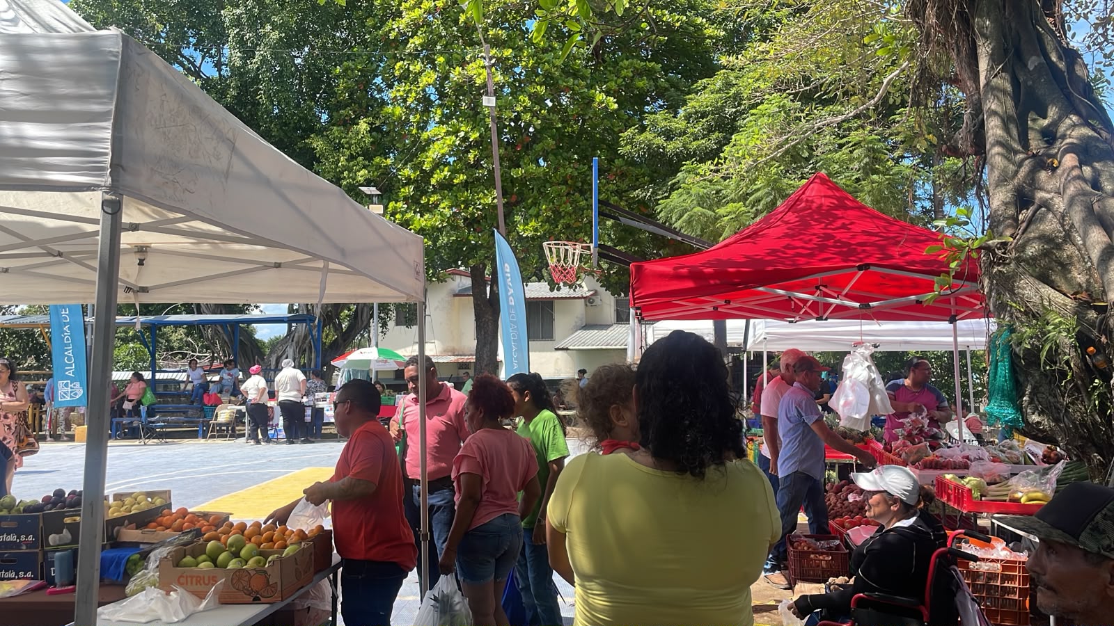 Agroferia del IMA en El Retorno de David Sur beneficia a familias chiricanas con alimentos a precios accesibles